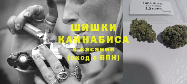 прущие крисы Новозыбков