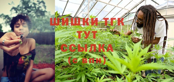 прущие крисы Новозыбков
