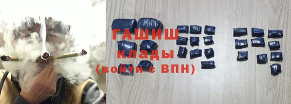 сатива Новодвинск