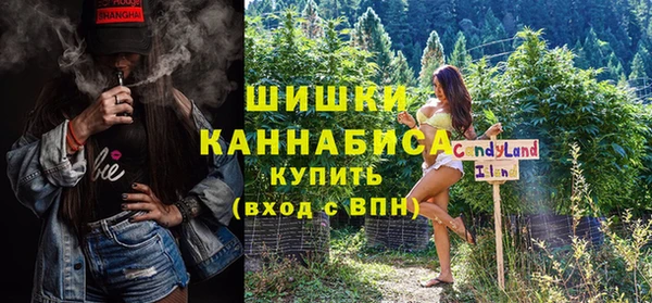 прущие крисы Новозыбков
