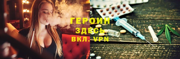 сатива Новодвинск