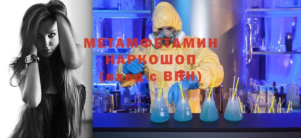сатива Новодвинск