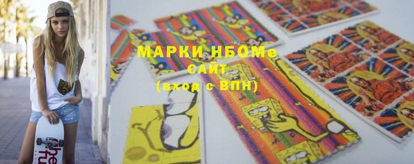сатива Новодвинск