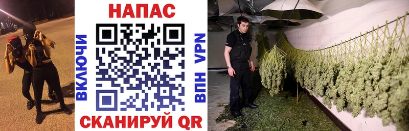 Конопля планчик  купить наркоту  Печоры 